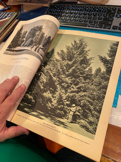 Country Life January 1934