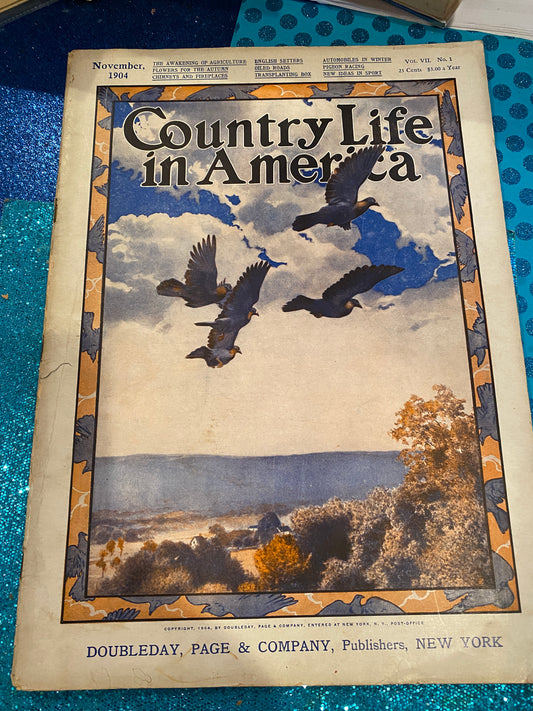 Country Life October 1904