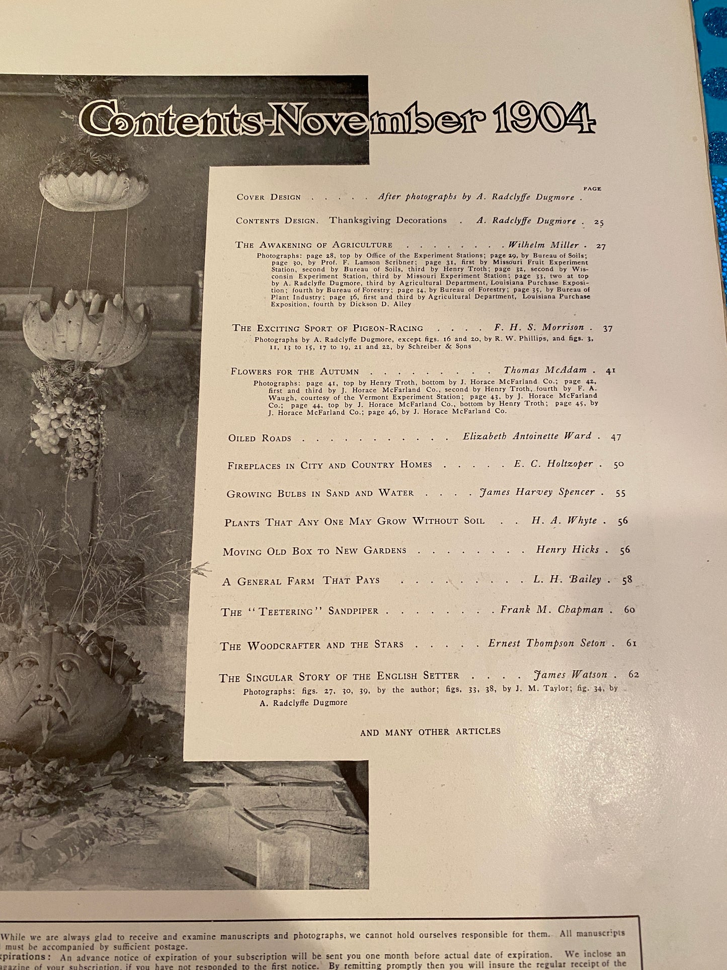 Country Life October 1904