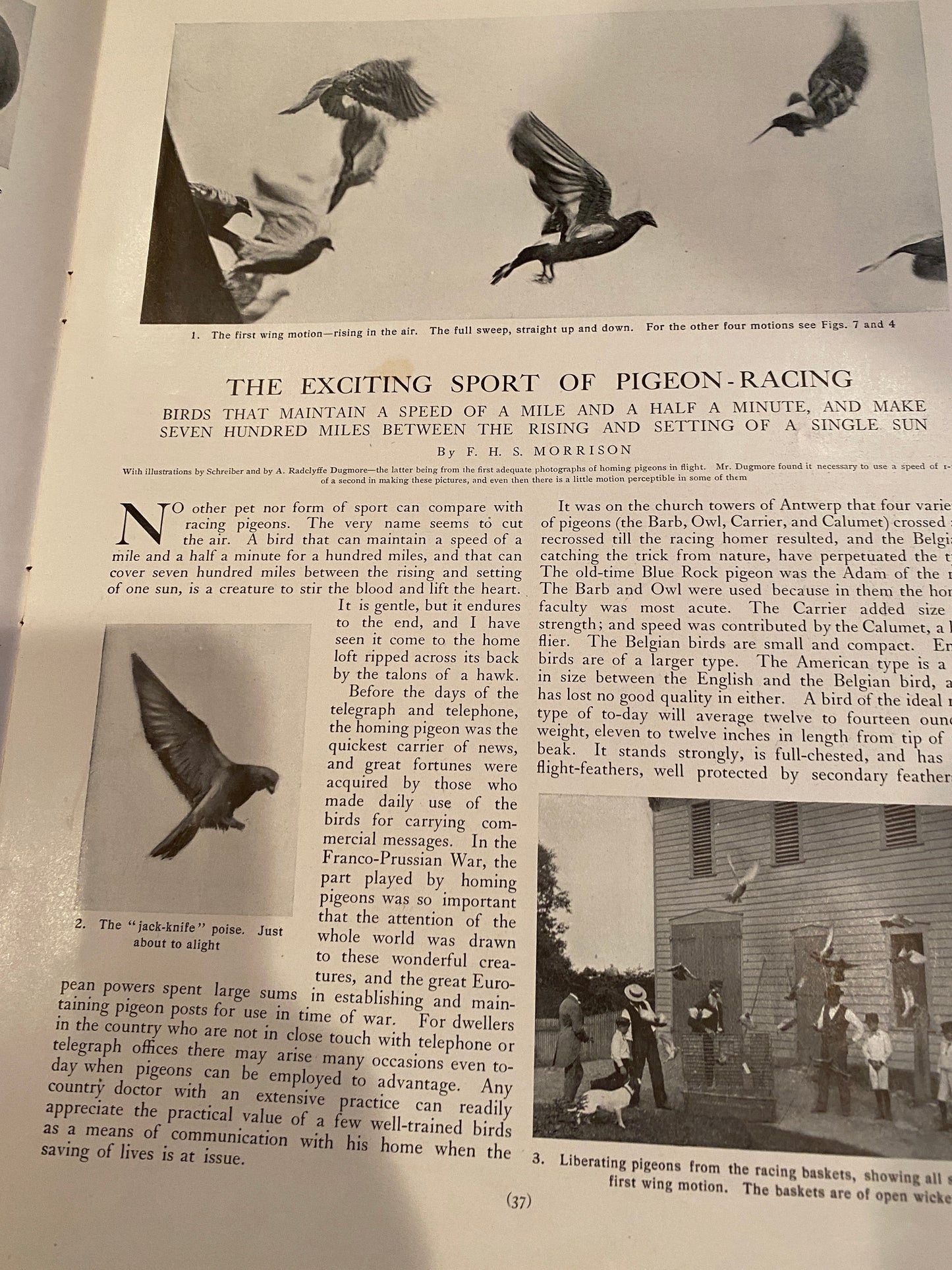 Country Life October 1904