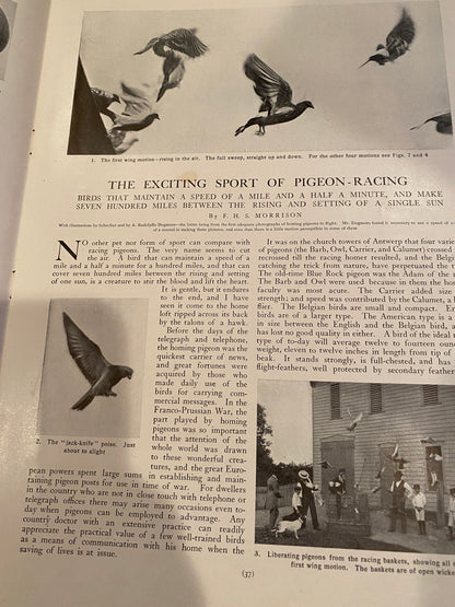 Country Life October 1904